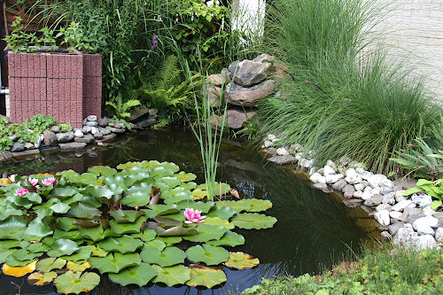 Ferienwohnung Bachmann - Oberweser-Gieselwerder - Foto Ferienwohnung 1